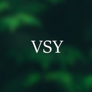 Avatar for VSY