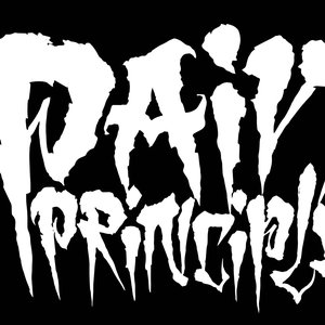 Pain Principle 的头像