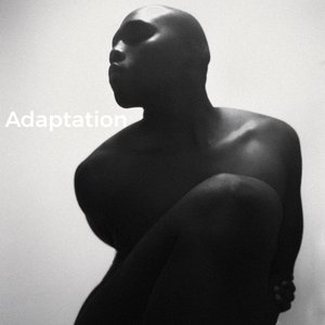 Adaptation
