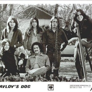 Avatar for Pavlov’s Dog