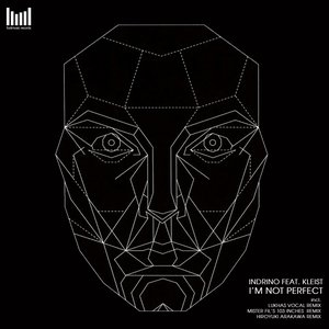 I'm Not Perfect (feat. Kleist)