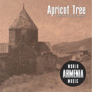 Apricot Tree