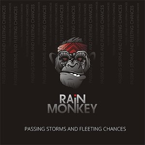 Passing Storms and Fleeting Chances