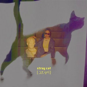 Stray Cat