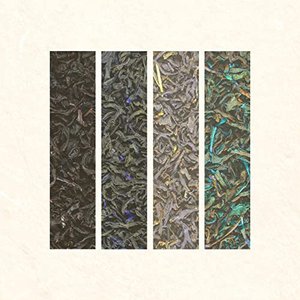 Green Tea - Single