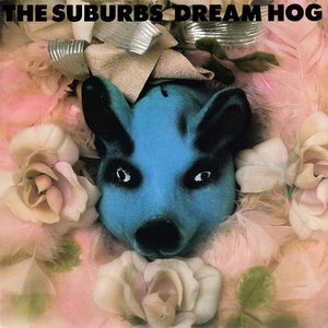 Dream Hog