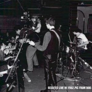 The Sedated 的头像