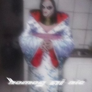 homog AI nic