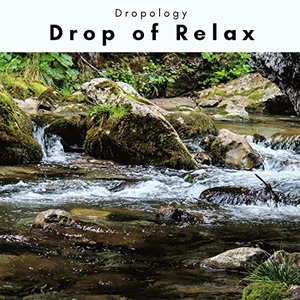 A Drop of Relax