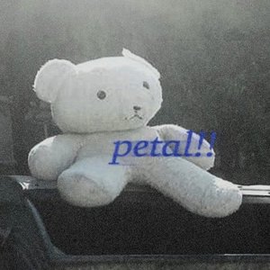 Avatar for petal redd