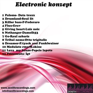 electronic konzept