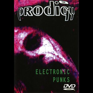 electronic Punks