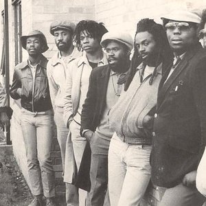 Black Roots 的头像