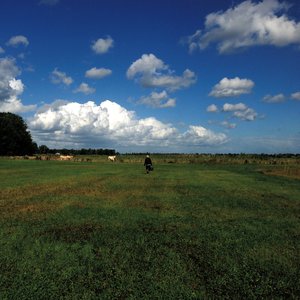 The Hilvarenbeek Recordings  [Remastered And Expanded Version]