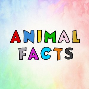Avatar for Animal Facts