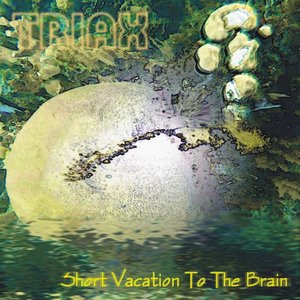 Short Vacation To the Brain