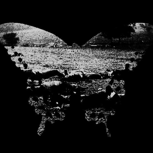 Swallowtail cover