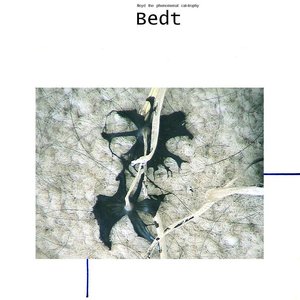 Bedt - the summer album from floyd the phenomenal cat-trophy