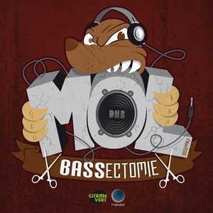 Bassectomie