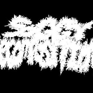 Soggy Decomposition 的头像