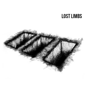 Image for 'Lost Limbs'