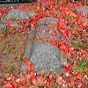 best way to die - Single