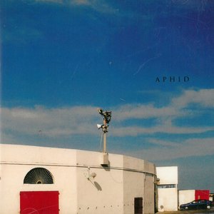 Aphid
