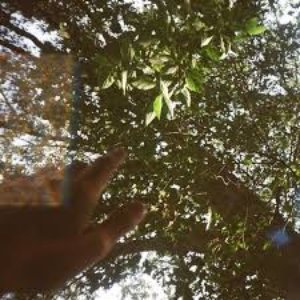 Early Autumn - EP