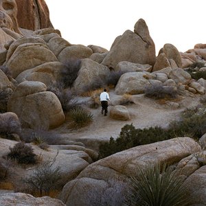 Collective Body (Original Virtual Reality Experience Score)