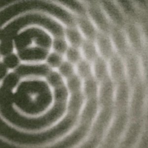 Pictures of Venus - Single