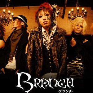 The Branch 的头像
