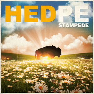Stampede cover