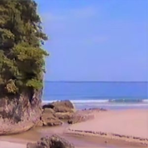 shoreline海岸線