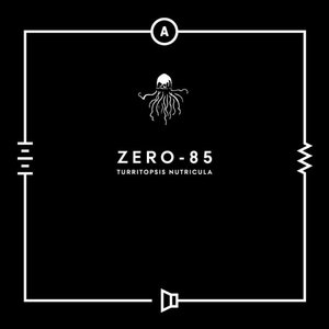 Zero-85 的头像