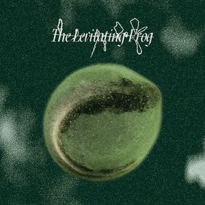 The Levitating Frog III