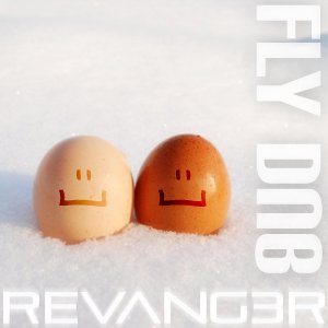 Image for 'REVANG3R'