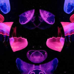 Massage Therapy Music 的头像