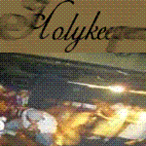Holykeeper 的头像