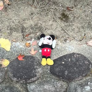 ptf boi 的头像
