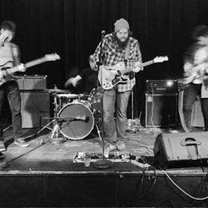 The Fronts 的头像