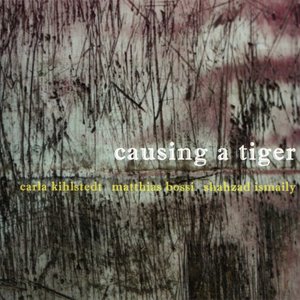 “Causing A Tiger”的封面