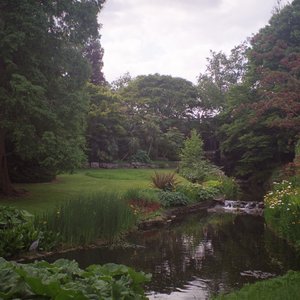 Regen - Single