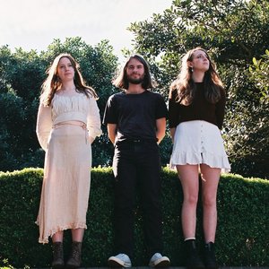 Avatar for Shark Bay Dazy