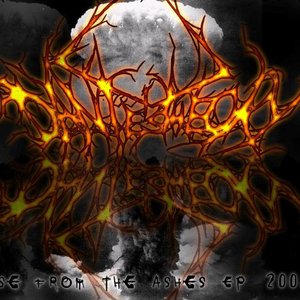 Rise From The Ashes