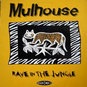 Rave In The Jungle