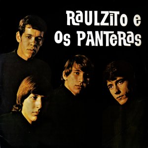 Raulzito E Os Panteras