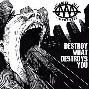 Image pour 'Destroy What Destroys You'