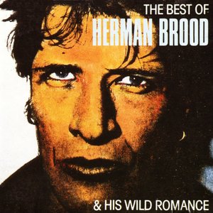 The Best Of Herman Brood & His Wild Romance