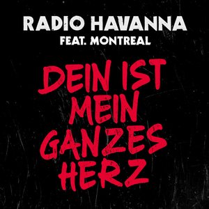 Dein ist mein ganzes Herz - Single