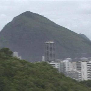 Landfool 的头像